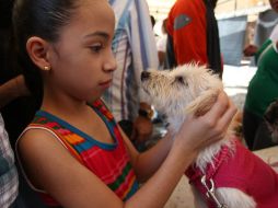 Para varios, los pasos a seguir para llevarse un cachorro fueron muy estrictos.  /