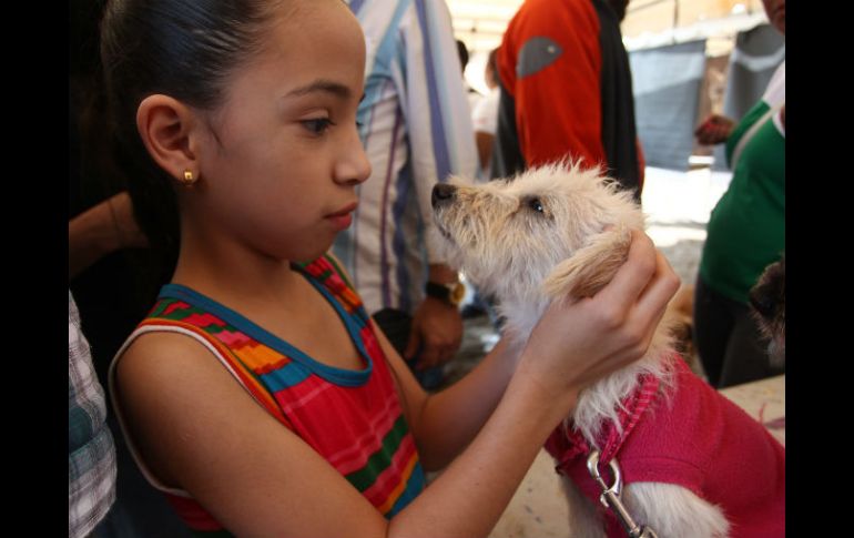 Para varios, los pasos a seguir para llevarse un cachorro fueron muy estrictos.  /