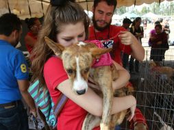 Una vez que pasó el registro y las mascotas pasaron por revisión médica, se comenzaron a concretar las entregas.  /