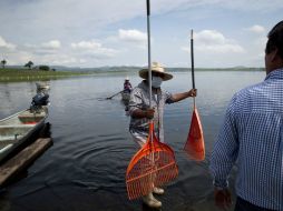 Se busca un consumo de alimentos sanos con los más estrictos controles de calidad, bajo el recién creado distintivo 'Calidad Jalisco'. ARCHIVO /