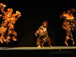 El guardián del bosque narra la historia de la relación entre el hombre y la naturaleza acompañada de danza y percusiones.  /