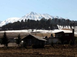 Los ejidos (cooperativas agrarias) establecidos en el Nevado de Toluca han mermado su capacidad forestal y sus bosques. ARCHIVO /