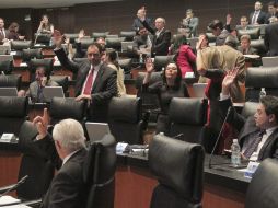 Después de pasar por el Senado, la iniciativa pasará a la Cámara de Diputados, que ya vaticinó que la aprobará esta semana. NTX /