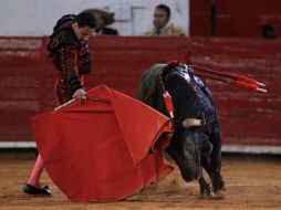 El torero mexicano Fermín Spinola lidia su primer toro de la tarde ''Pardillo'' de 476 kg. EFE /