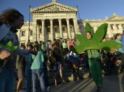 La población uruguaya celebró la aprobación del autocultivo de esta planta. AP /