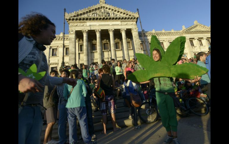 La población uruguaya celebró la aprobación del autocultivo de esta planta. AP /