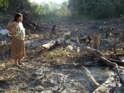 Las tierras guaraníes sufren devastación al ser invadidas por la empresa estadounidense Bunge. ESPECIAL /