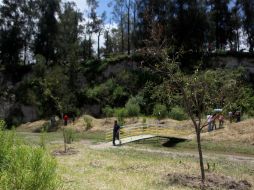 Existe una iniciativa para convertir al Bosque Pedagógico del Agua en Área Natural Protegida. ARCHIVO /