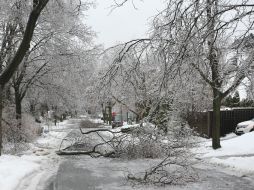 En Québec cerca de 50 mil personas están sin electricidad. EFE /