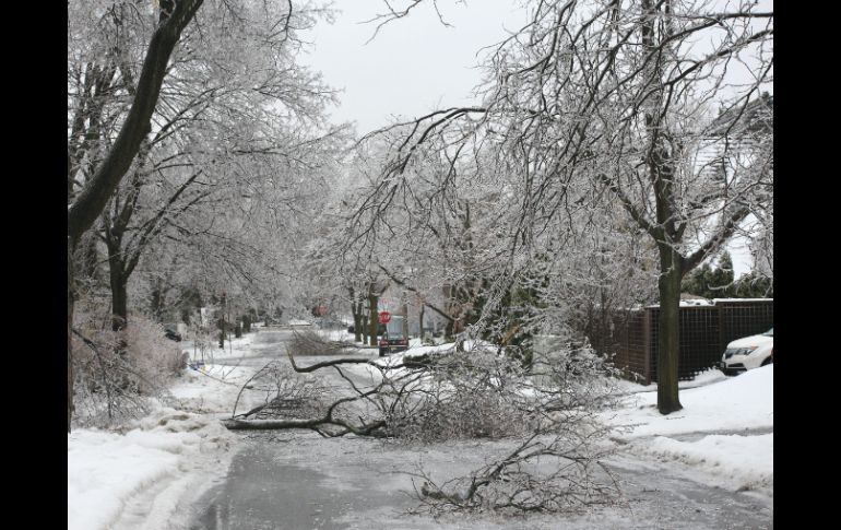 En Québec cerca de 50 mil personas están sin electricidad. EFE /