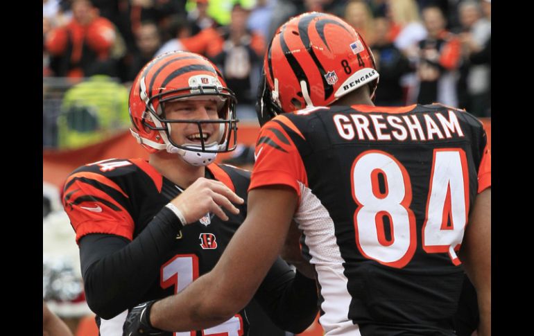 Andy Dalton comandó a los Bengalíes para que estos continúen de invictos como locales y consiguieran su boleto a playoffs. AP /