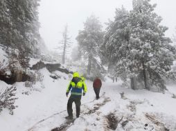 El Parque del Nevado de Colima se encuentra con nieve a 3 mil 900 metros sobre el nivel del mar. ARCHIVO /