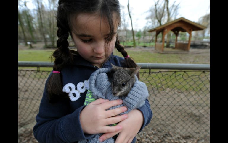 Esperan que los padres inculquen a sus hijos el buen cuidado a sus mascotas. AP /