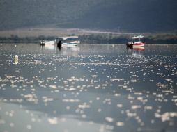 Aspecto de la laguna en octubre, cuando se podían ver los peces muertos flotando. ARCHIVO /