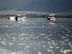 Afirman que la Laguna de Cajititlán está en niveles 'dentro de norma'. ARCHIVO /