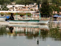 La CEA informó que los peces murieron por los cambios de temperatura y oxigenación. ARCHIVO /