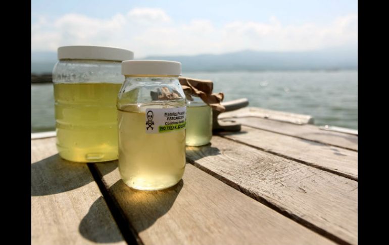 Especialistas de la UdeG y la Conagua realizan constates monitoreos para ver la contaminación del vaso. ARCHIVO /