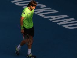 Ferrer ganó este torneo cuatro veces, incluidas las tres últimas ediciones. AFP /