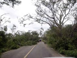 El lugar de los hechos fue un camino de terracería ubicado en la carretera Cihuatlán-Barra de Navidad. ARCHIVO /