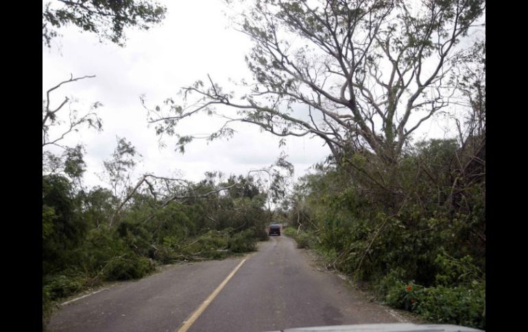 El lugar de los hechos fue un camino de terracería ubicado en la carretera Cihuatlán-Barra de Navidad. ARCHIVO /