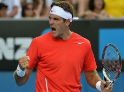 El tenista argentino Juan Martín del Potro celebra un punto contra Rhyne Williams AFP /