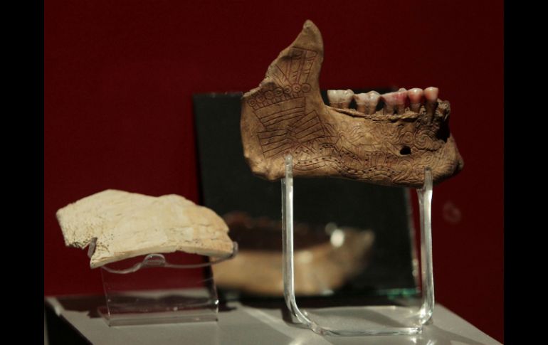 Cráneos, tibias, peronés, húmeros y mandíbulas localizados en ofrendas del Templo Mayor fueron utilizadas para la investigación. ARCHIVO /