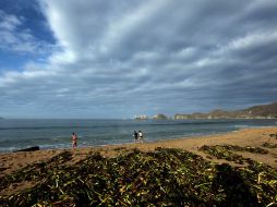 Los registros se concentran en la Costa Sur, la Costa Norte, la Zona Centro, la Ciénaga y también en los Altos Norte y Altos Sur. ARCHIVO /