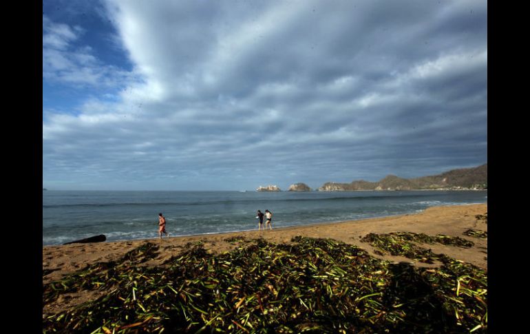 Los registros se concentran en la Costa Sur, la Costa Norte, la Zona Centro, la Ciénaga y también en los Altos Norte y Altos Sur. ARCHIVO /