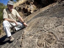 Según el paleontólogo, alrededor de un cinco por ciento de los  fósiles hallados presentan marcas de herramientas humanas. ARCHIVO /