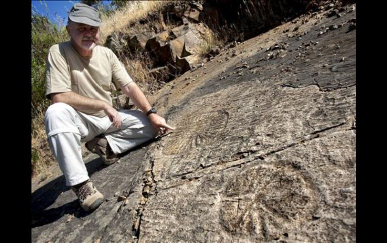 Según el paleontólogo, alrededor de un cinco por ciento de los  fósiles hallados presentan marcas de herramientas humanas. ARCHIVO /