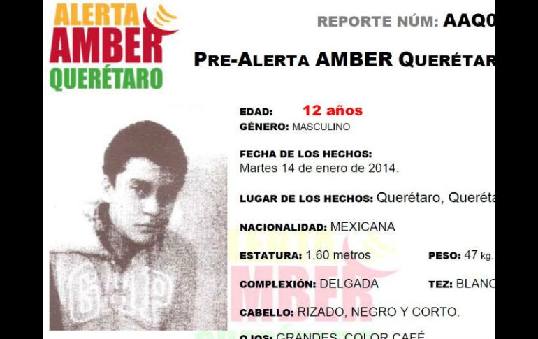 José Paulo Vázquez Osorio, de 12 años, quien desapareció el martes 14 de enero de 2014. ESPECIAL /