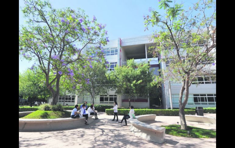 Ambiente. Las instalaciones de la Universidad del Valle de México son amplias e invitan a estudiar en paz y armonía.  /