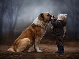 En un ambiente lleno de ternura los pequeños son acompañados de animales, árboles y lagos. Imagen: Sitio oficial de Elena Shumilova. ESPECIAL /