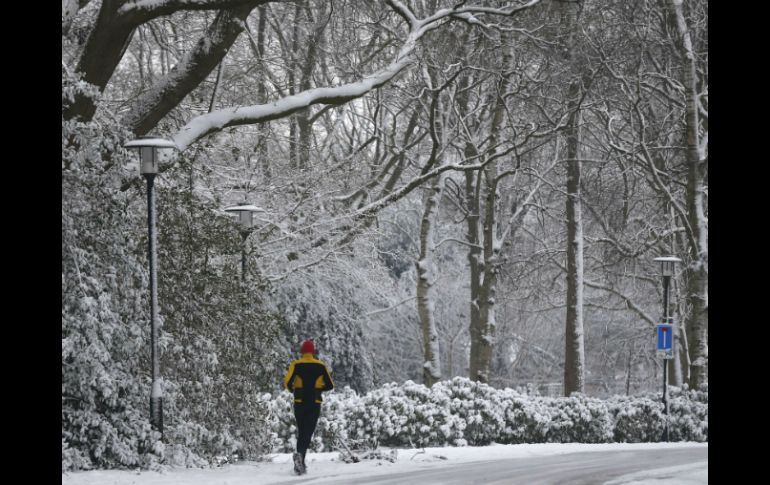 A causa del mal clima, el partido entre el  Twente Enschede y Groningen, se suspende. AFP /