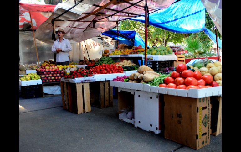 Por la posible negligencia de obras públicas, 40 comerciantes del Mercado Pedro Ogazón venden sus productos en un parque público. ARCHIVO /
