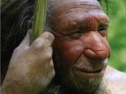 La áreas del genoma sin presencia neandertal, son las que determinan el habla. Foto: @Neandertal1 ESPECIAL /