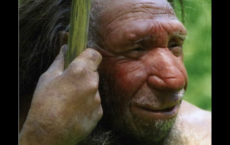 La áreas del genoma sin presencia neandertal, son las que determinan el habla. Foto: @Neandertal1 ESPECIAL /