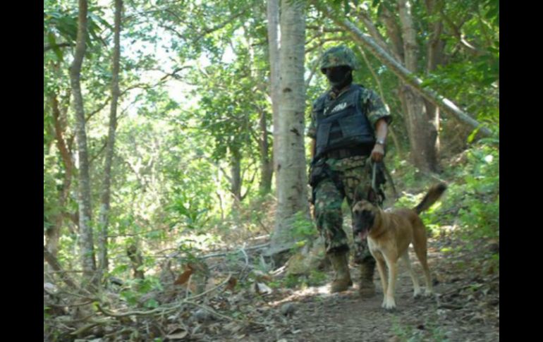 Más de 250 elementos de seguridad hacen investigaciones en predios, brechas y cerros por desapariciones. ARCHIVO /