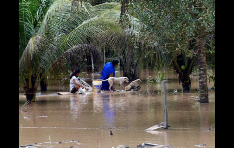 Las lluvias torrenciales han afectado a las localidades de Beni, La Paz, Cochabamba y Chuquisaca. AFP /