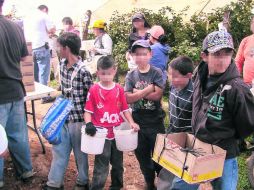 Los menores de entre cinco y 14 años laboraban en el cultivo de bayas, y recibían en promedio, cerca de 20 pesos por día.  /