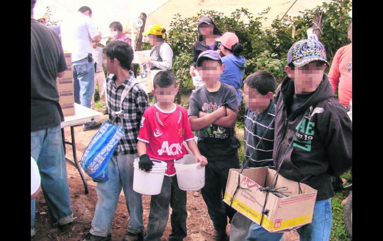 Los menores de entre cinco y 14 años laboraban en el cultivo de bayas, y recibían en promedio, cerca de 20 pesos por día.  /