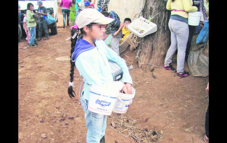 Una 'niña jornalera' en el campo detectado por la secretaría del trabajo en Mazamitla. ESPECIAL /