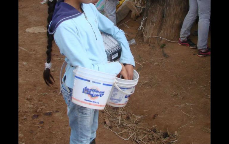 Ayer, la STPS reportó a los menores que laboraban en el cultivo de bayas, y recibían en promedio, cerca de 20 pesos por día. ESPECIAL /