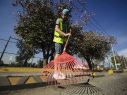 Con escobas, rastrillos, cubetas, palas y carretillas; unos 20 estudiantes del colectivo 'Movilidad ITESO' limpian la ciclovía.  /