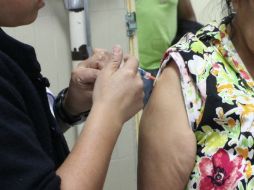 Médicos destacan que el virus A H1N1 se convirtió en un virus estacional que puede ser tratado con vacunas. ARCHIVO /