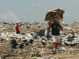 Trabajadores del sector de reciclaje deberán pagar una tasa de impuestos justa, acorde a su labor social, señala el SAT. ARCHIVO /