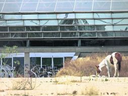 El traslado de las Fiestas de Octubre, donde estuvo el antiguo Planetario, dará nueva vida a la zona de la Barranca.  /