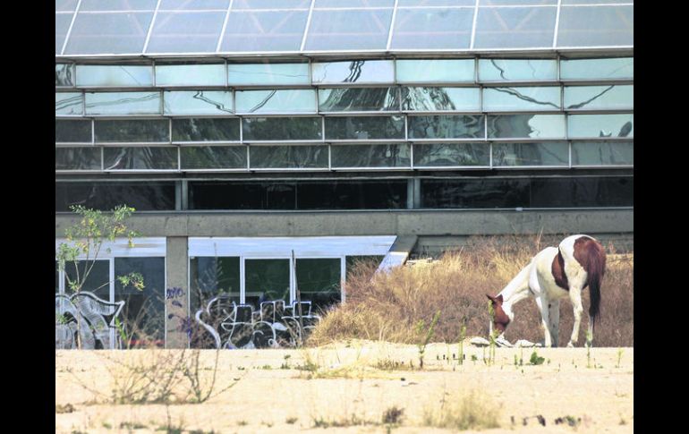 El traslado de las Fiestas de Octubre, donde estuvo el antiguo Planetario, dará nueva vida a la zona de la Barranca.  /