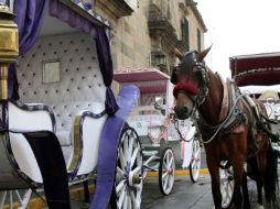 Los paseos gratuitos forman parte de una tradición entre los cocheros que antiguamente se conocía como 'El combate de flores'. ARCHIVO /