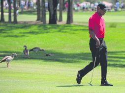 Para afuera. Tiger Woods se retiró el domingo del Honda Classic, tras el hoyo 13 de la última ronda.  /